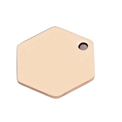 Size Custom Engraved Pet ID Tag with  Name, Phone Number, and Address( large)